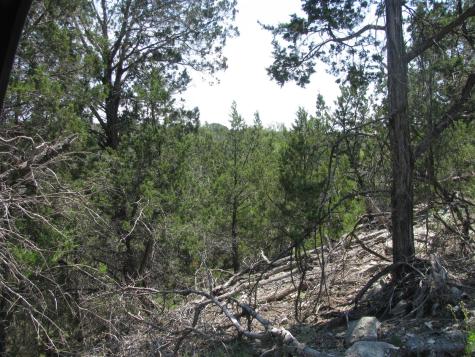Lot 11 Ph 5 Private Road Evant TX 76525
