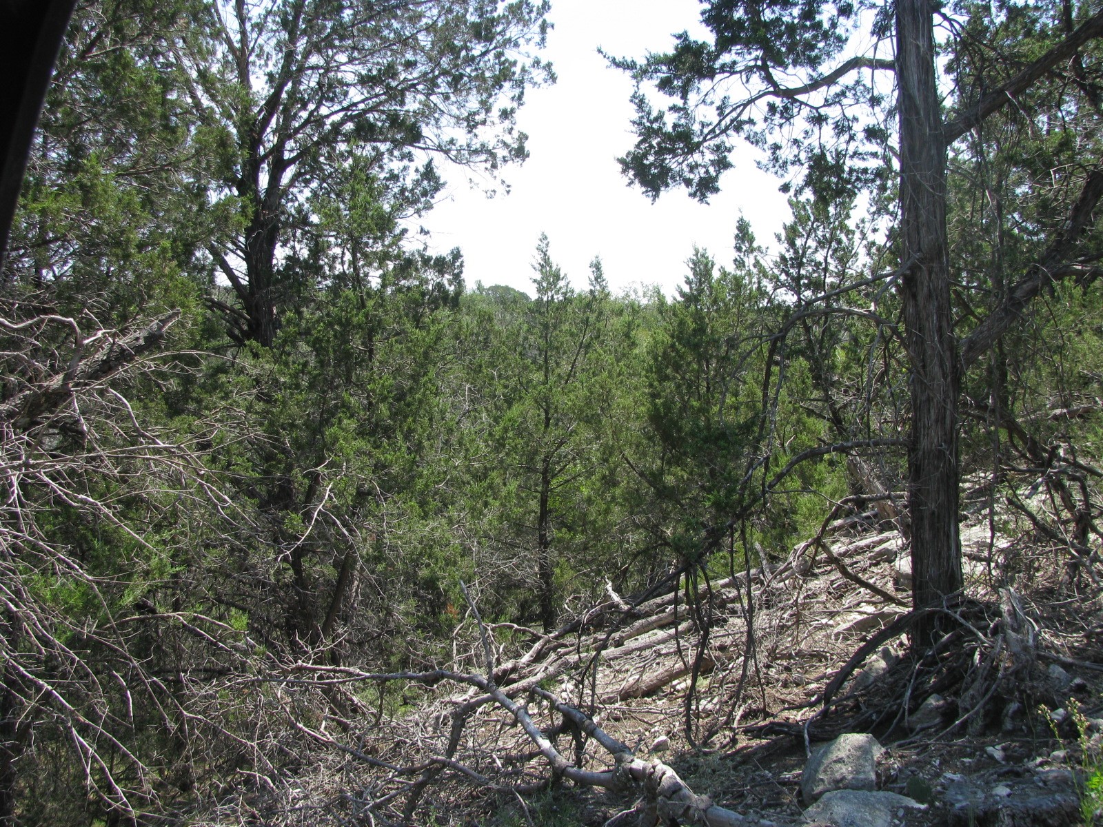 Lot 11 Ph 5 Private Road Evant TX 76525
