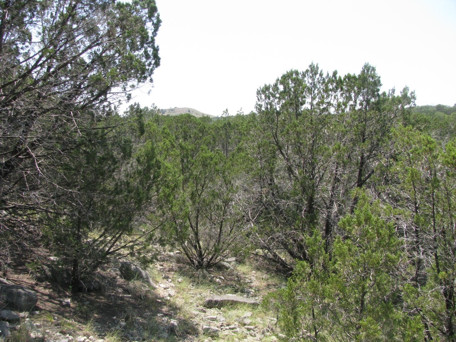 Lot 11 Ph 5 Private Road Evant TX 76525