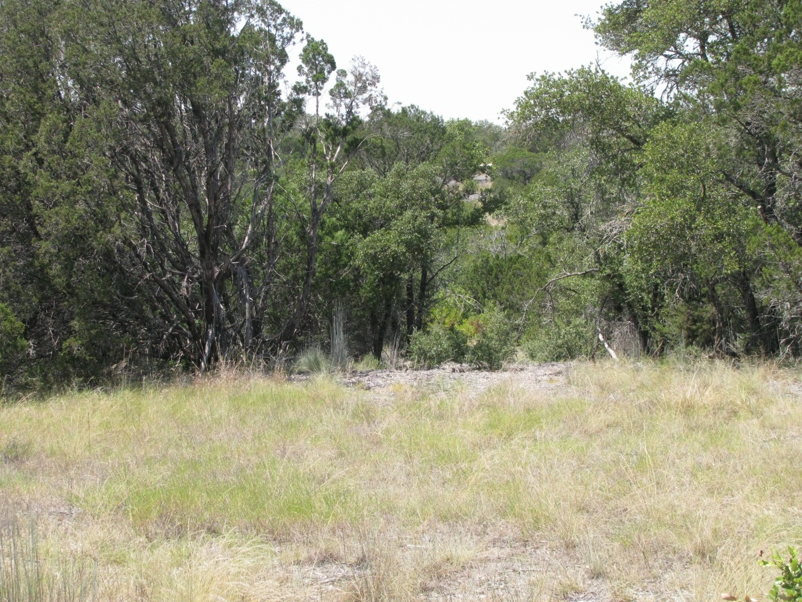 Lot 11 Ph 5 Private Road Evant TX 76525