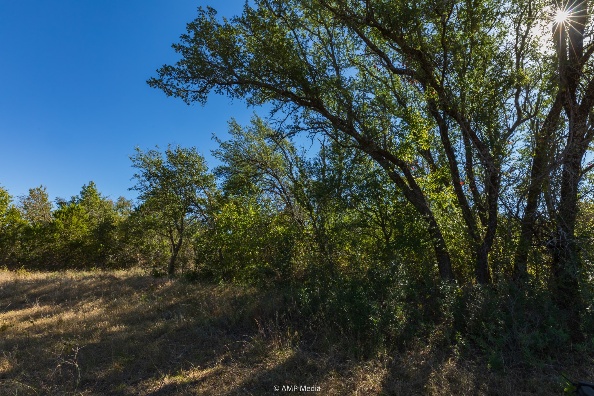 Tbd Pecan Valley Drive Gustine TX 76455