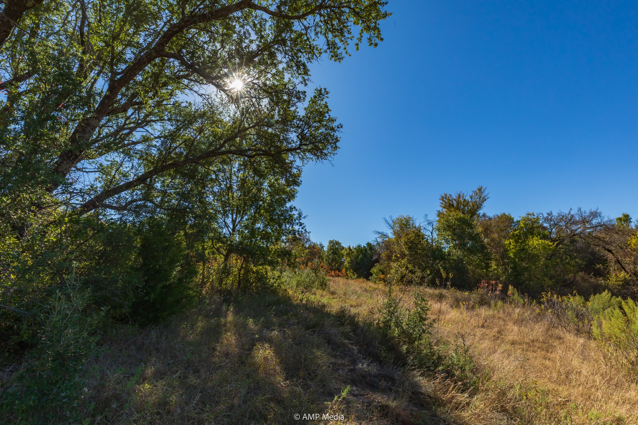 Tbd Pecan Valley Drive Gustine TX 76455