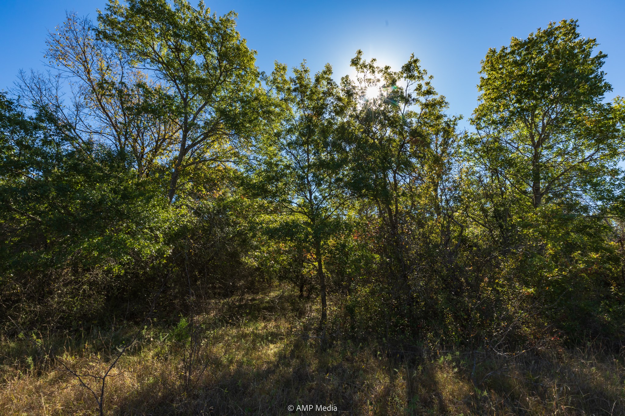 Tbd Pecan Valley Drive Gustine TX 76455