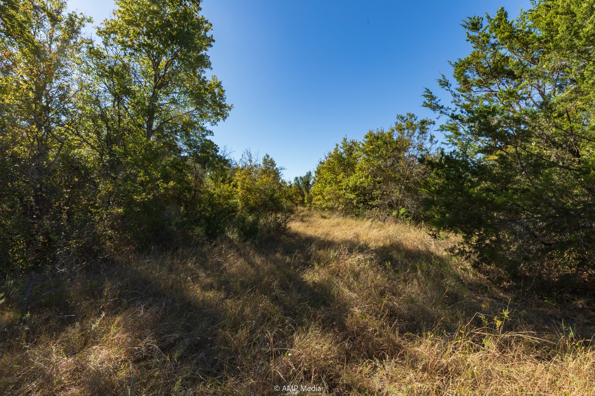 Tbd Pecan Valley Drive Gustine TX 76455