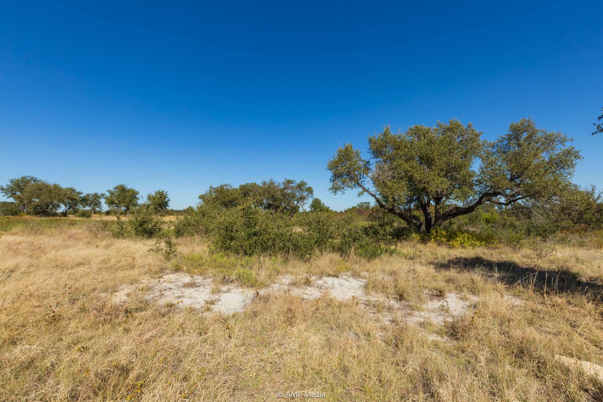 Tbd Pecan Valley Drive Gustine TX 76455
