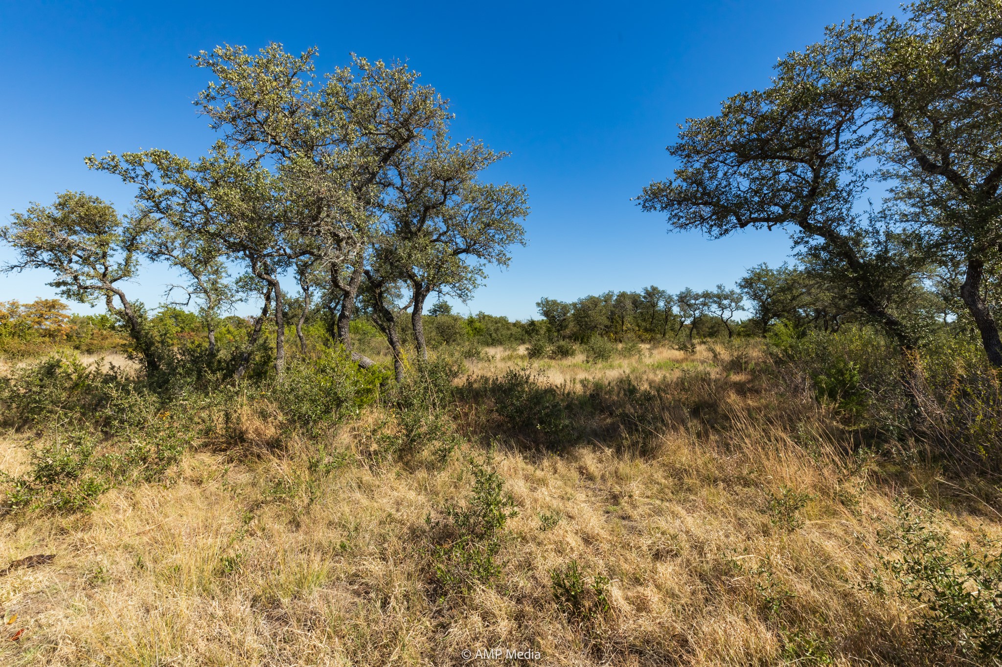 Tbd Pecan Valley Drive Gustine TX 76455