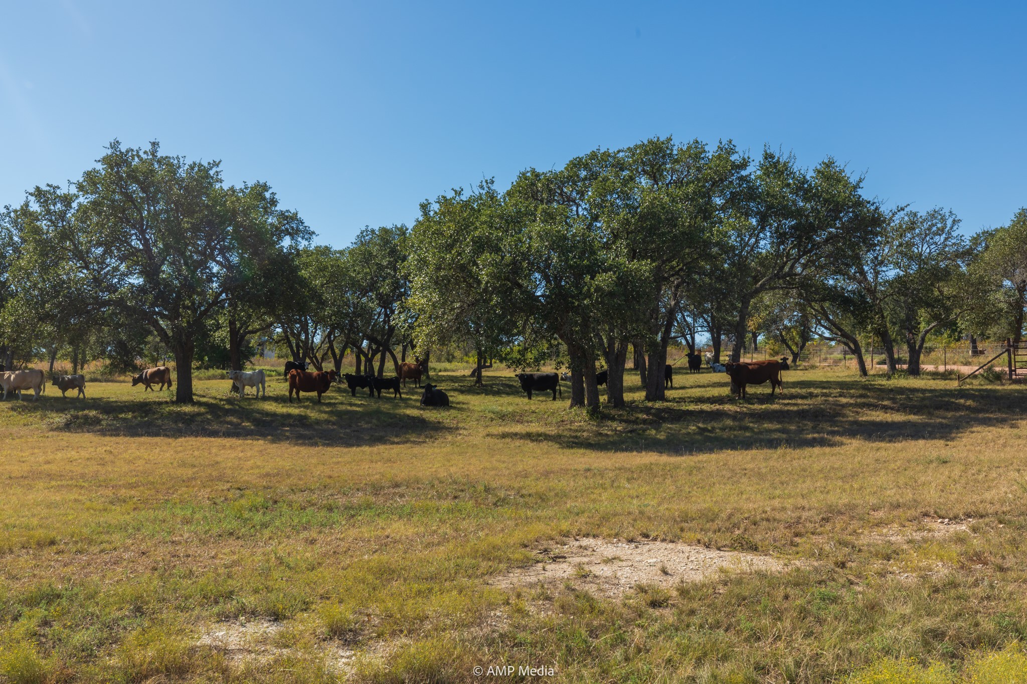 Tbd Pecan Valley Drive Gustine TX 76455