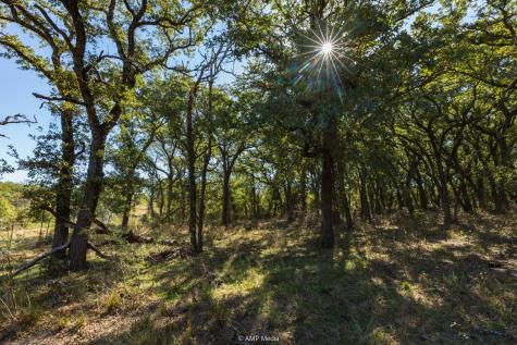 Tbd Pecan Valley Drive Gustine TX 76455