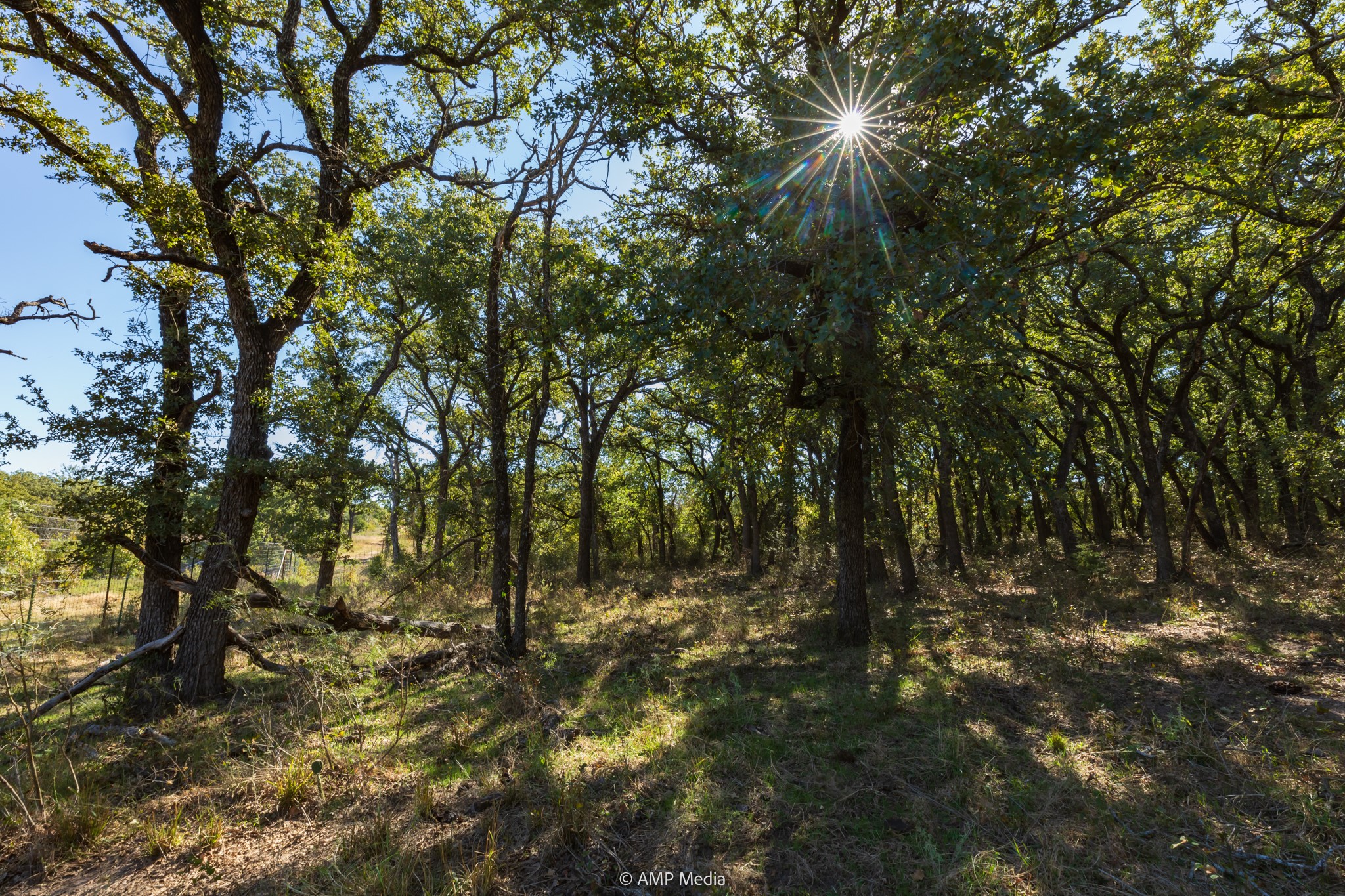 Tbd Pecan Valley Drive Gustine TX 76455