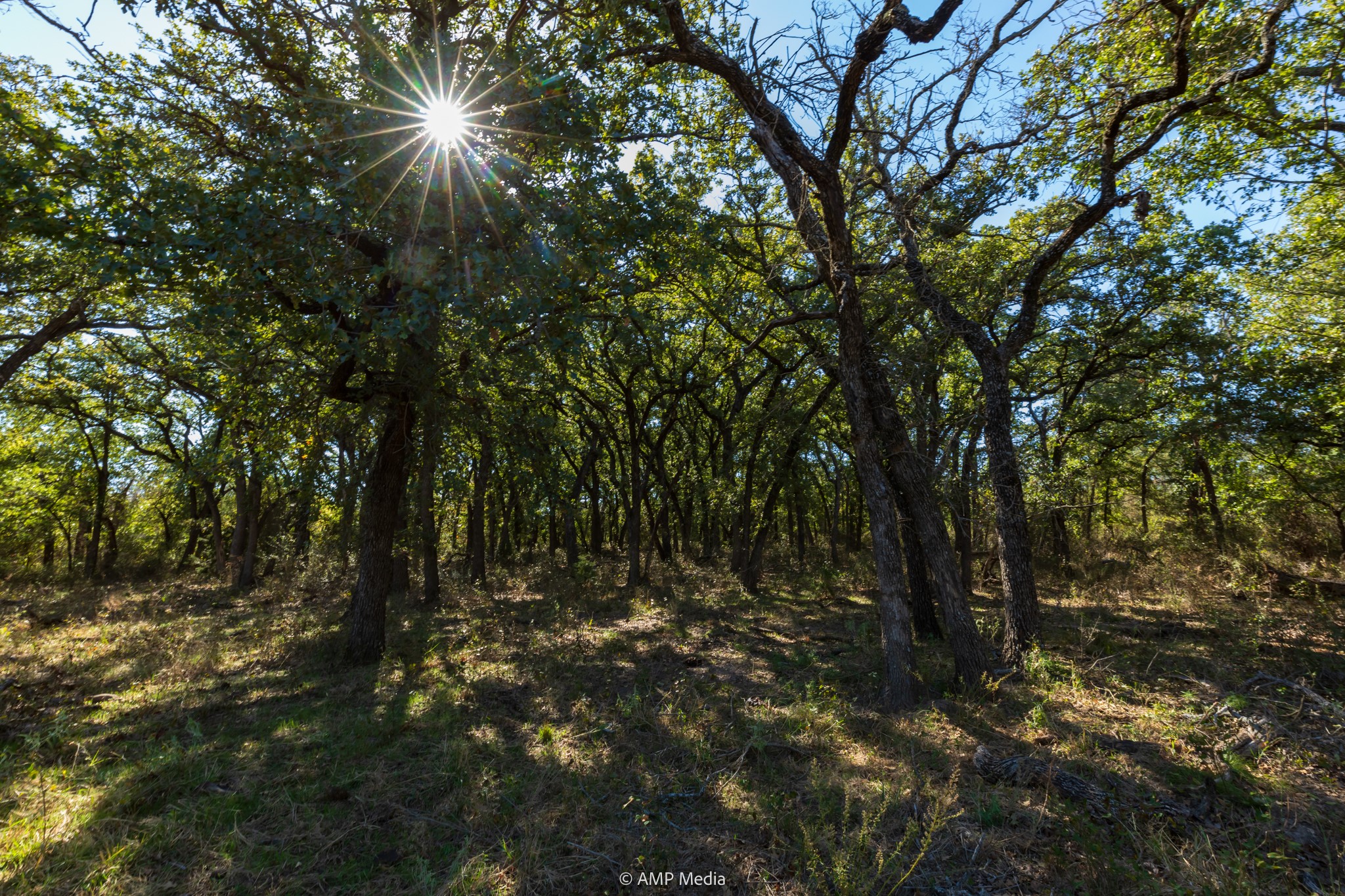Tbd Pecan Valley Drive Gustine TX 76455
