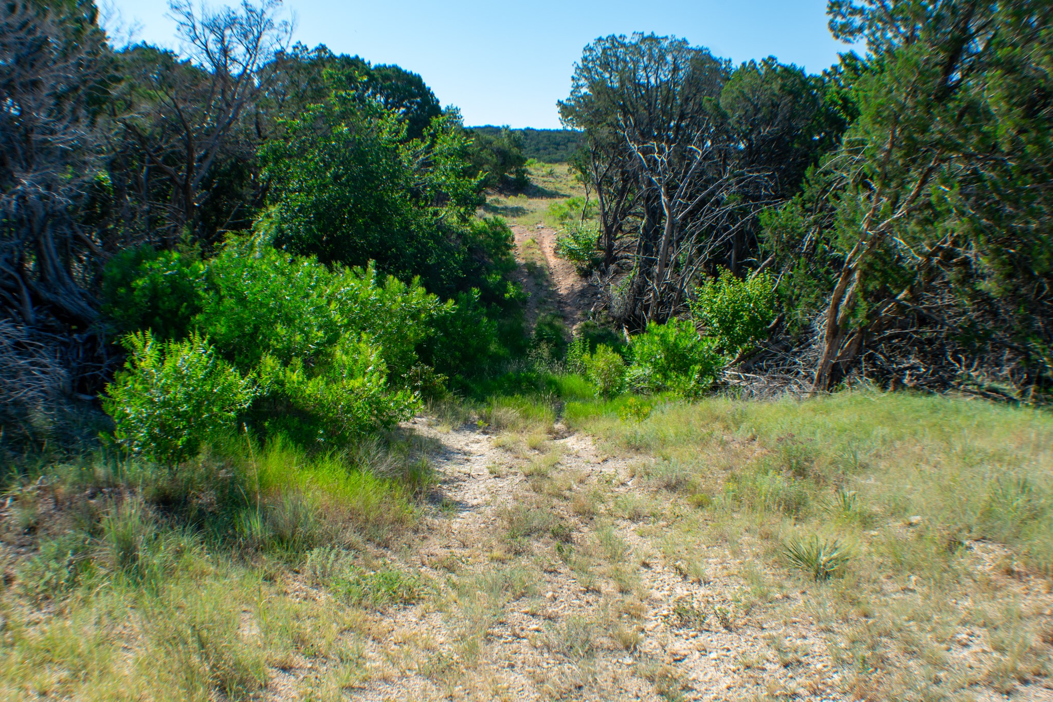 Tbd Cr 194 Road Tuscola TX 79562