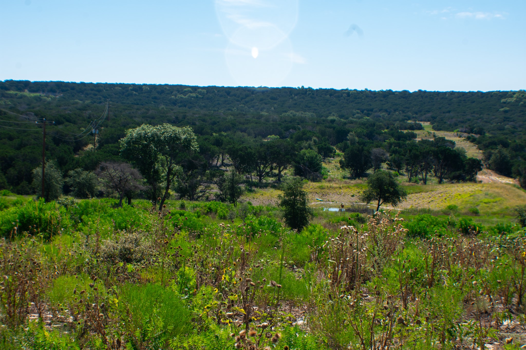 Tbd Cr 194 Road Tuscola TX 79562
