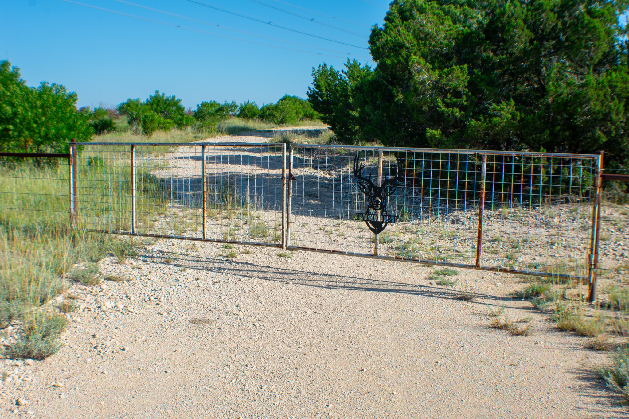 Tbd Cr 194 Road Tuscola TX 79562