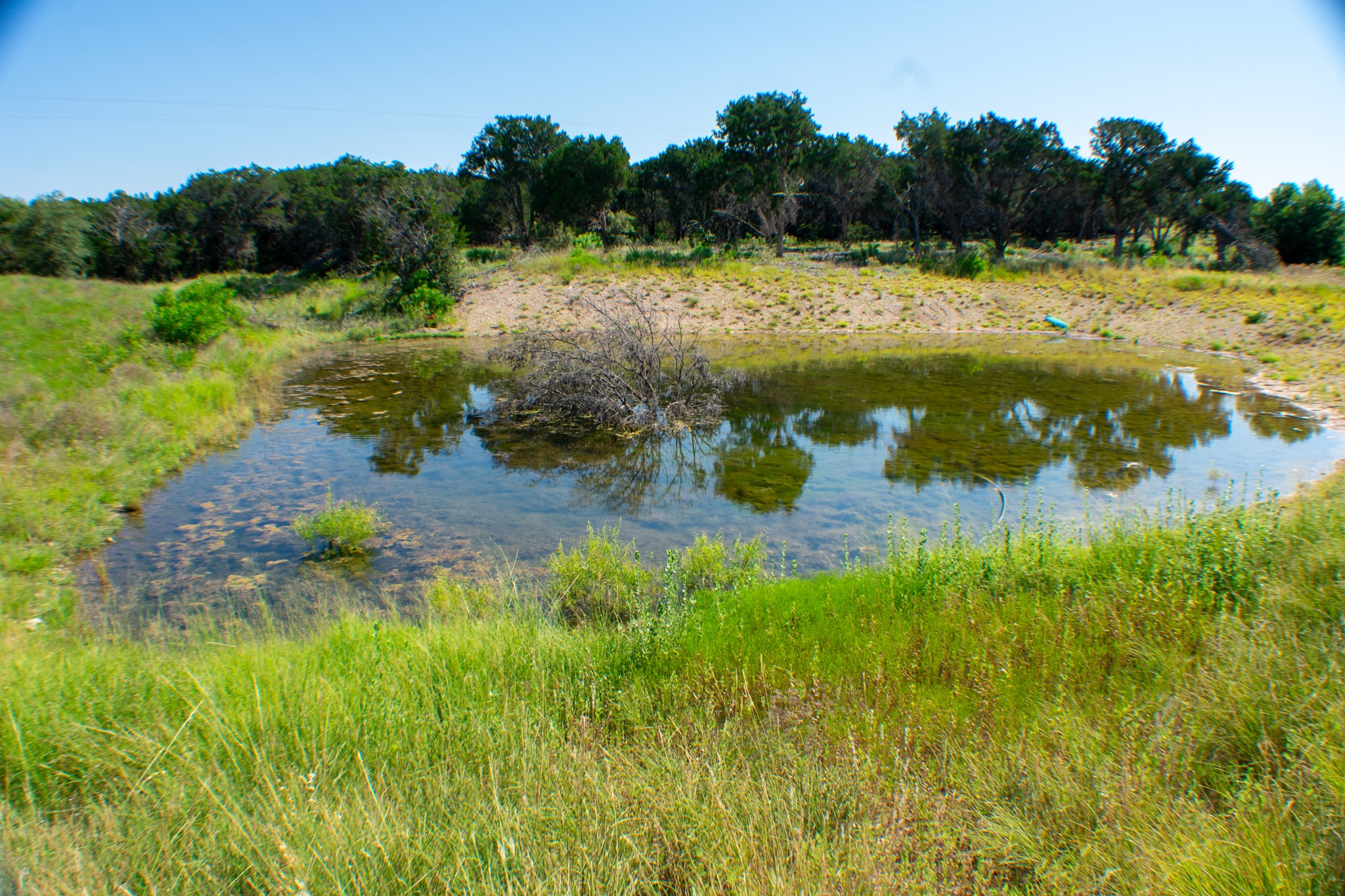 Tbd Cr 194 Road Tuscola TX 79562
