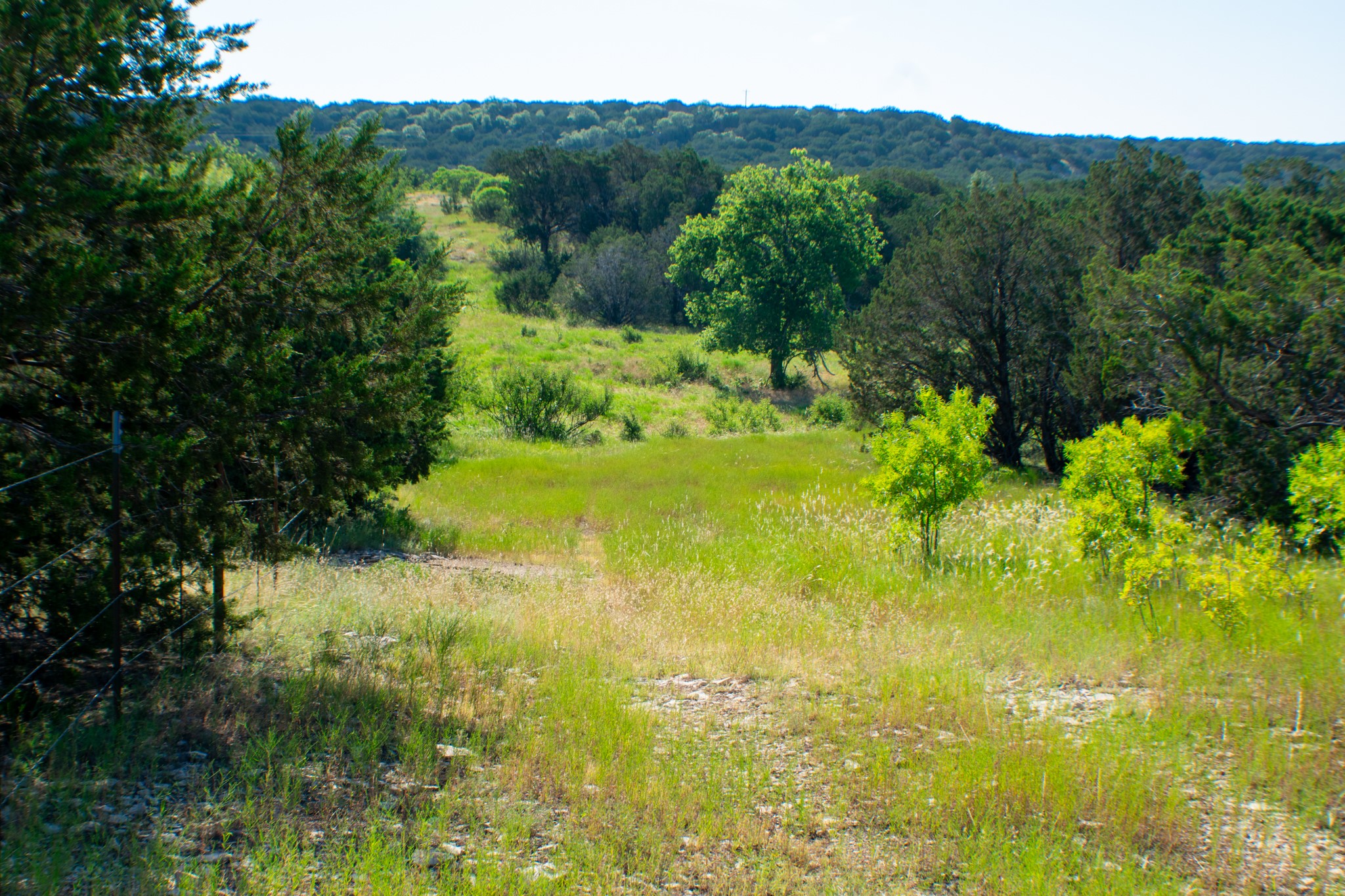 Tbd Cr 194 Road Tuscola TX 79562