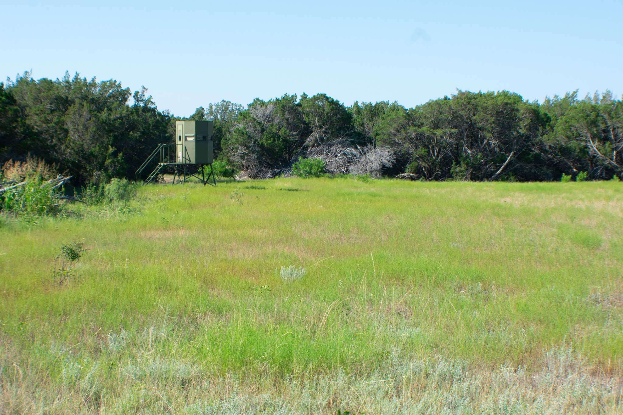 Tbd Cr 194 Road Tuscola TX 79562