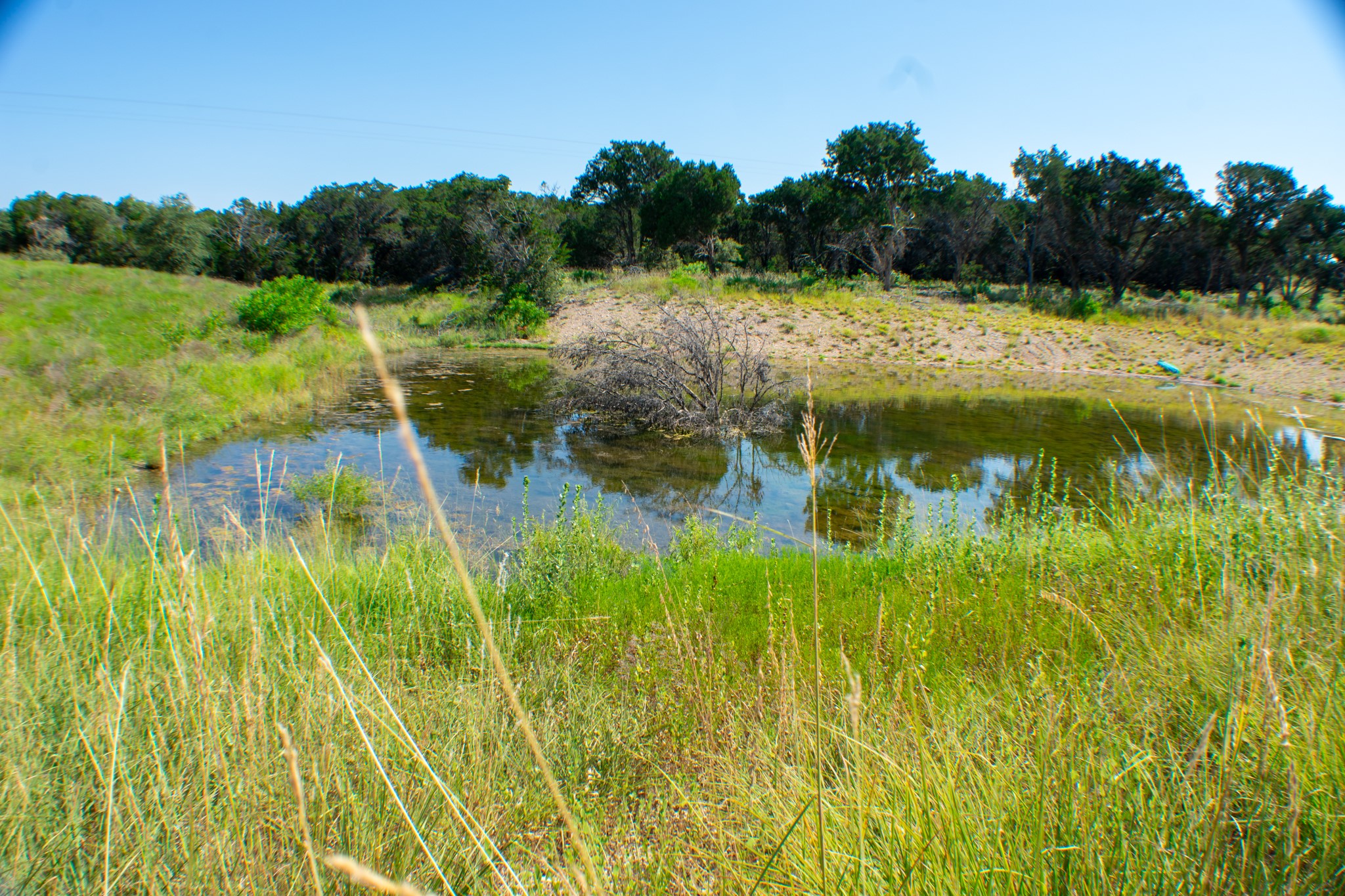 Tbd Cr 194 Road Tuscola TX 79562