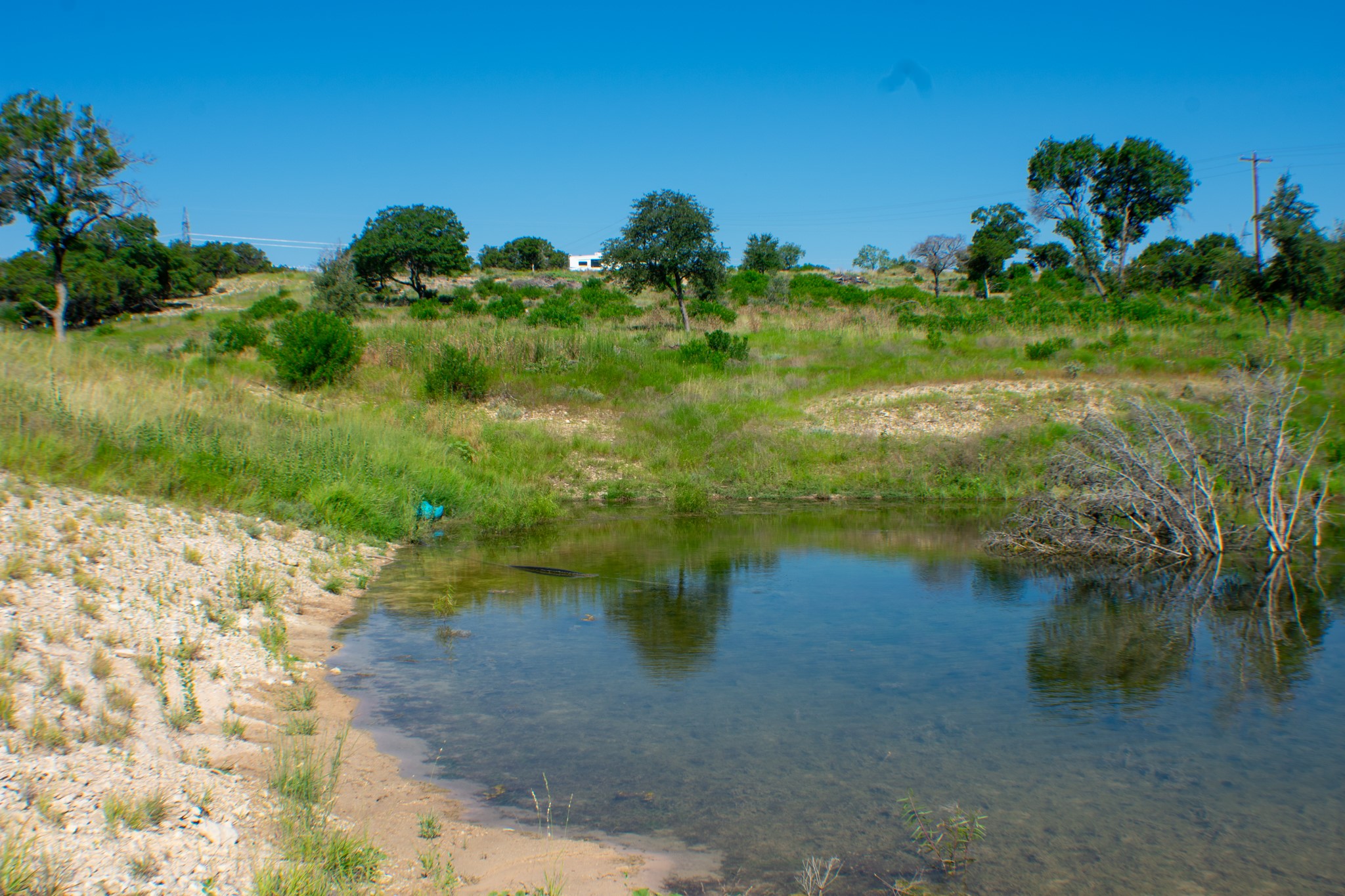Tbd Cr 194 Road Tuscola TX 79562