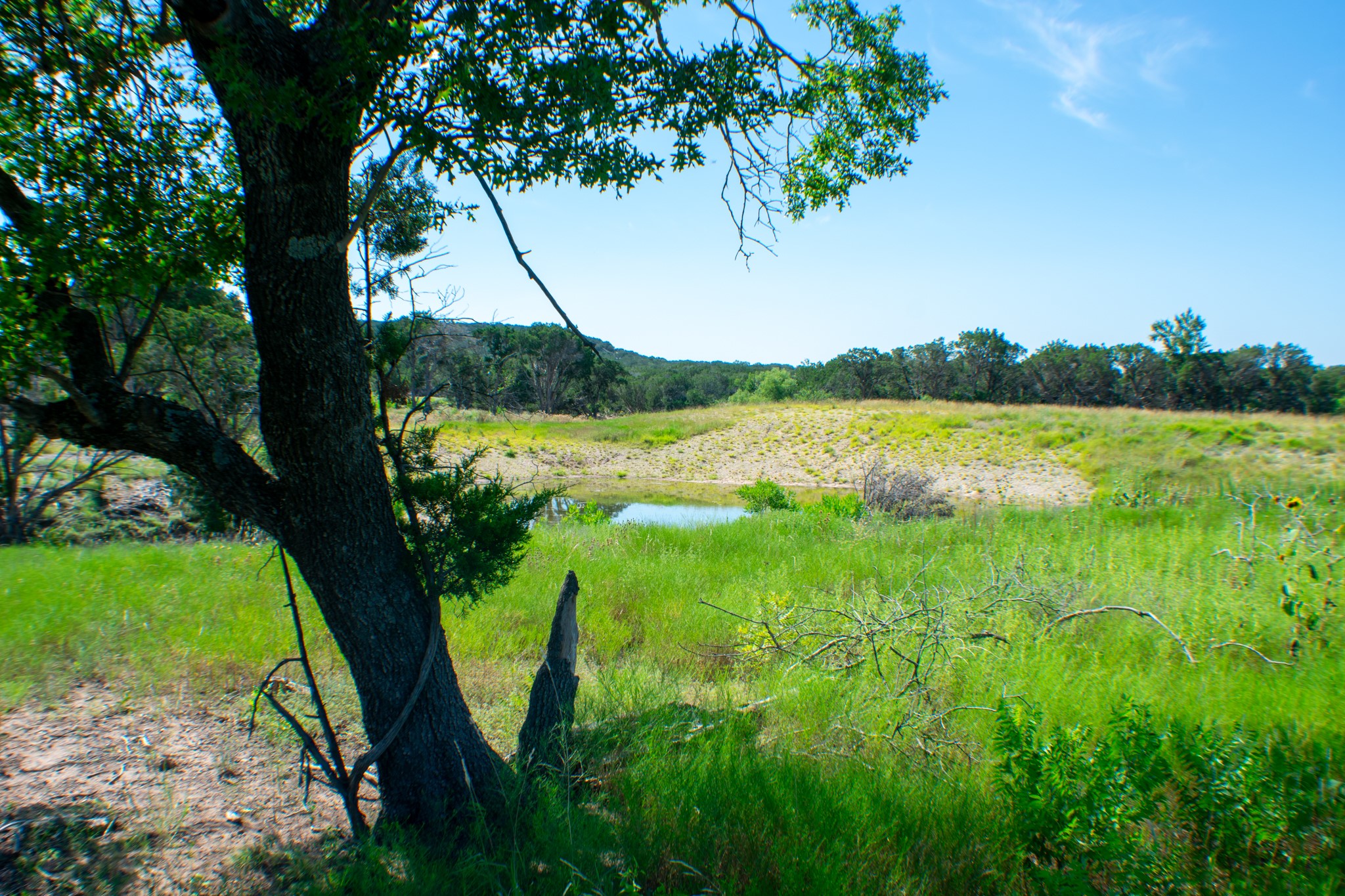 Tbd Cr 194 Road Tuscola TX 79562