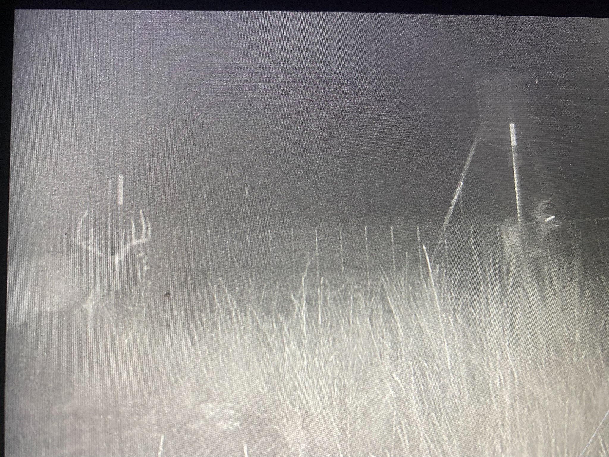 Tbd Cr 194 Road Tuscola TX 79562