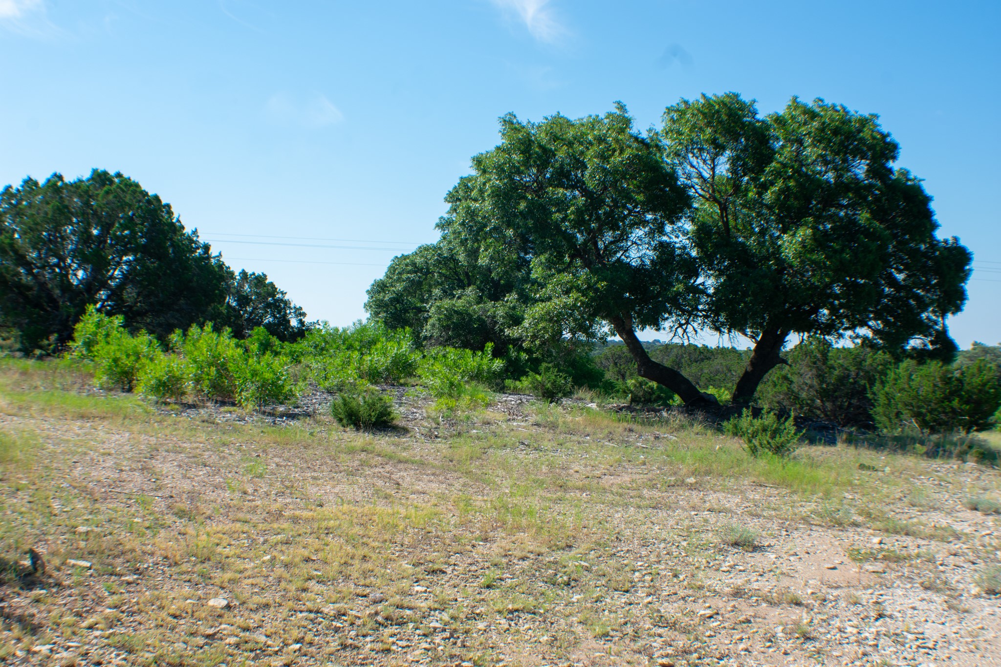 Tbd Cr 194 Road Tuscola TX 79562