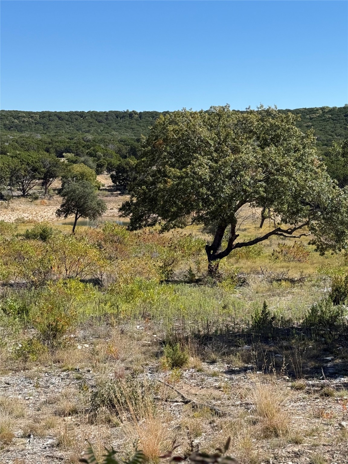 Tbd Cr 194 Road Tuscola TX 79562
