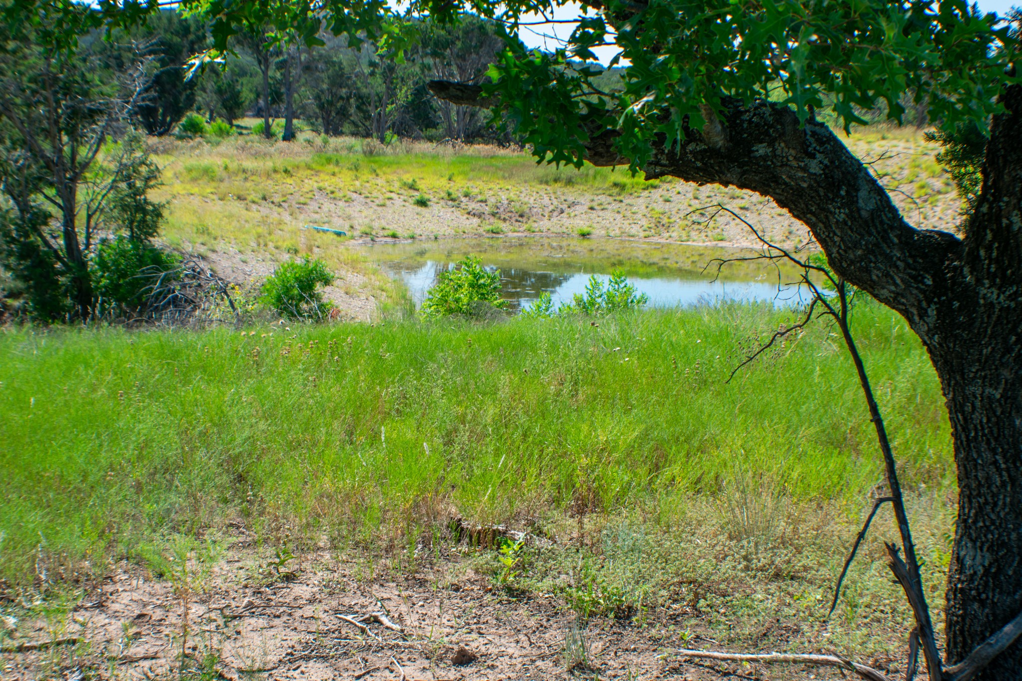 Tbd Cr 194 Road Tuscola TX 79562