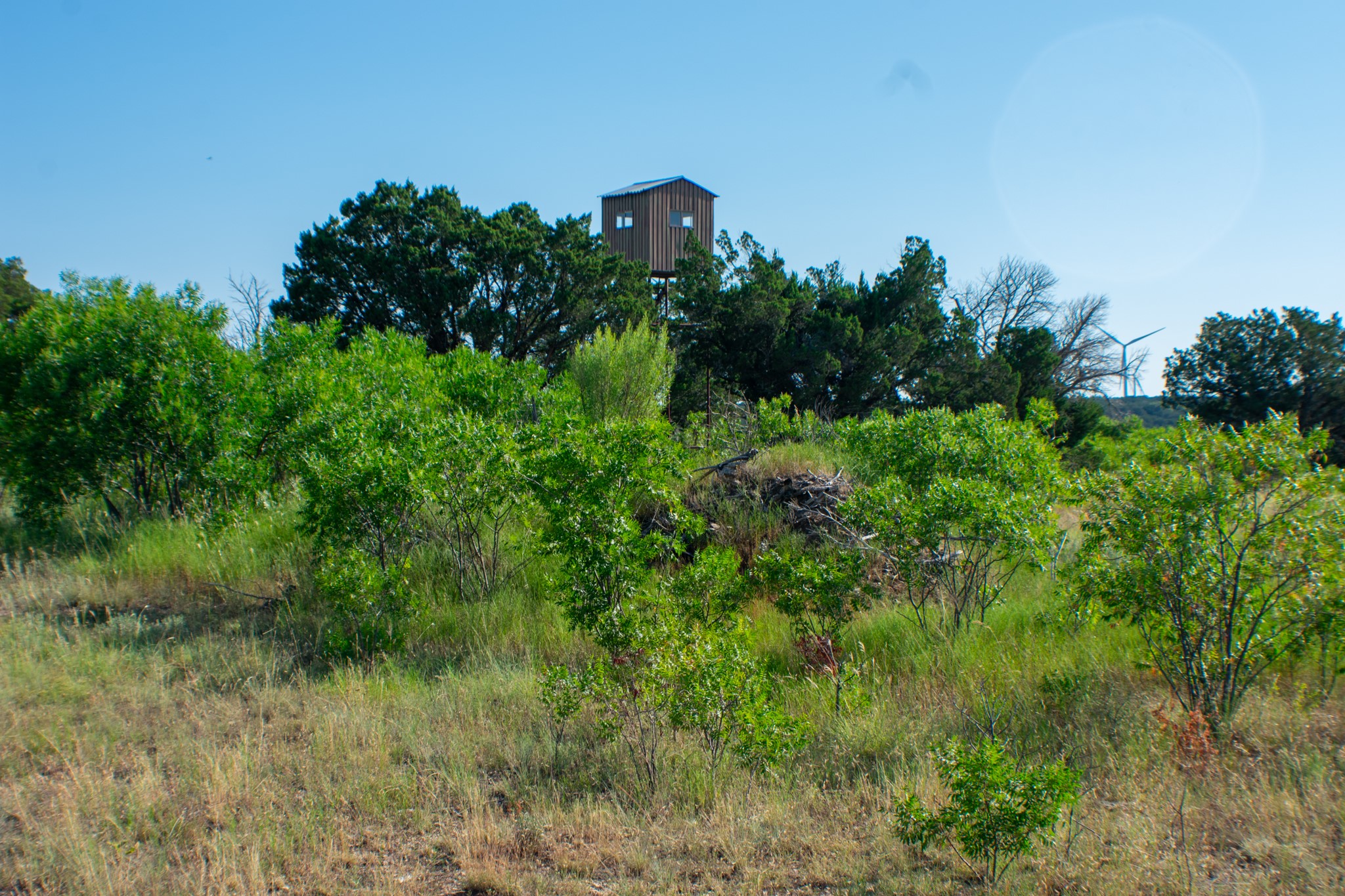 Tbd Cr 194 Road Tuscola TX 79562