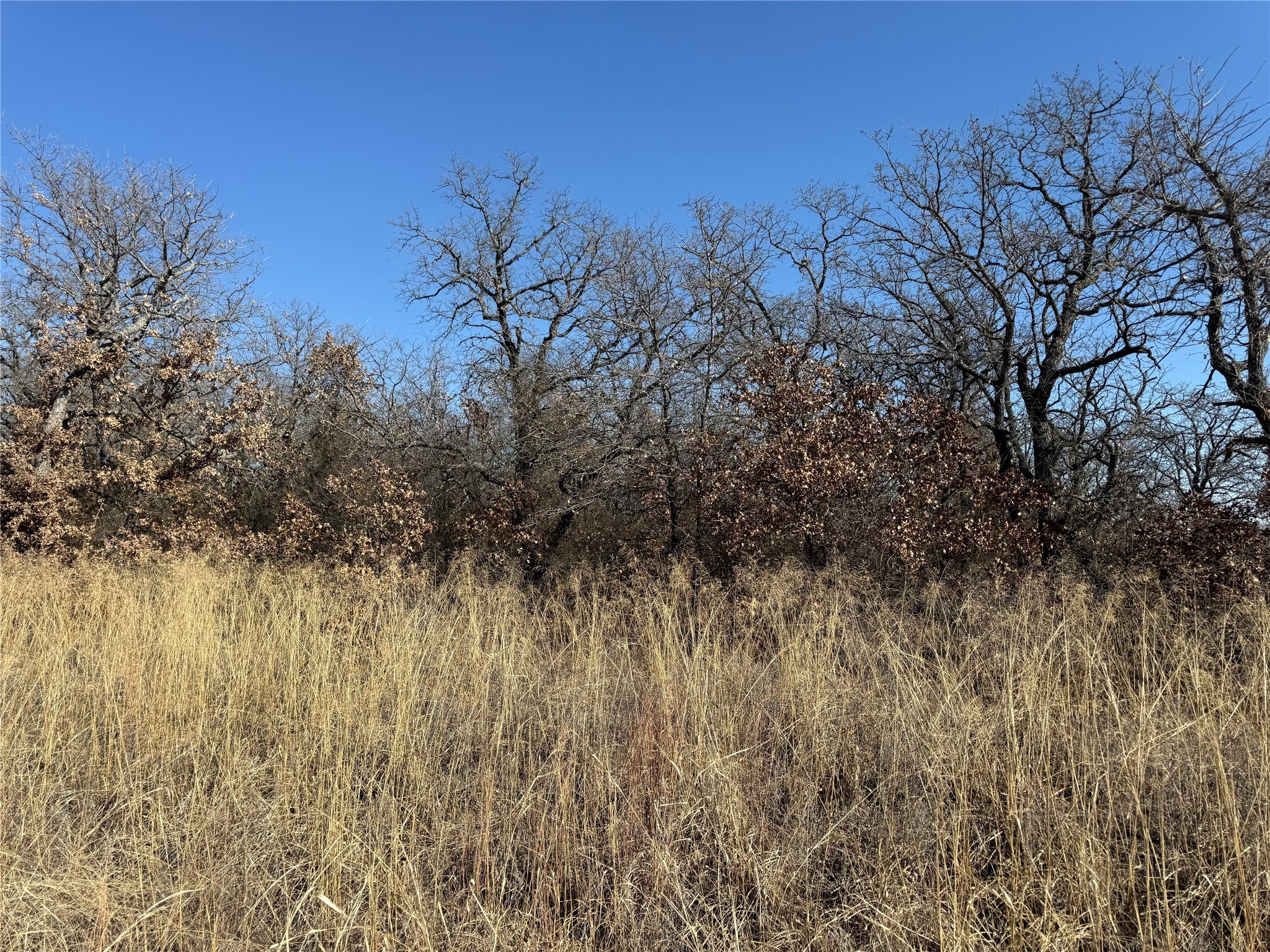 128 Rivercrest Drive Nocona TX 76255
