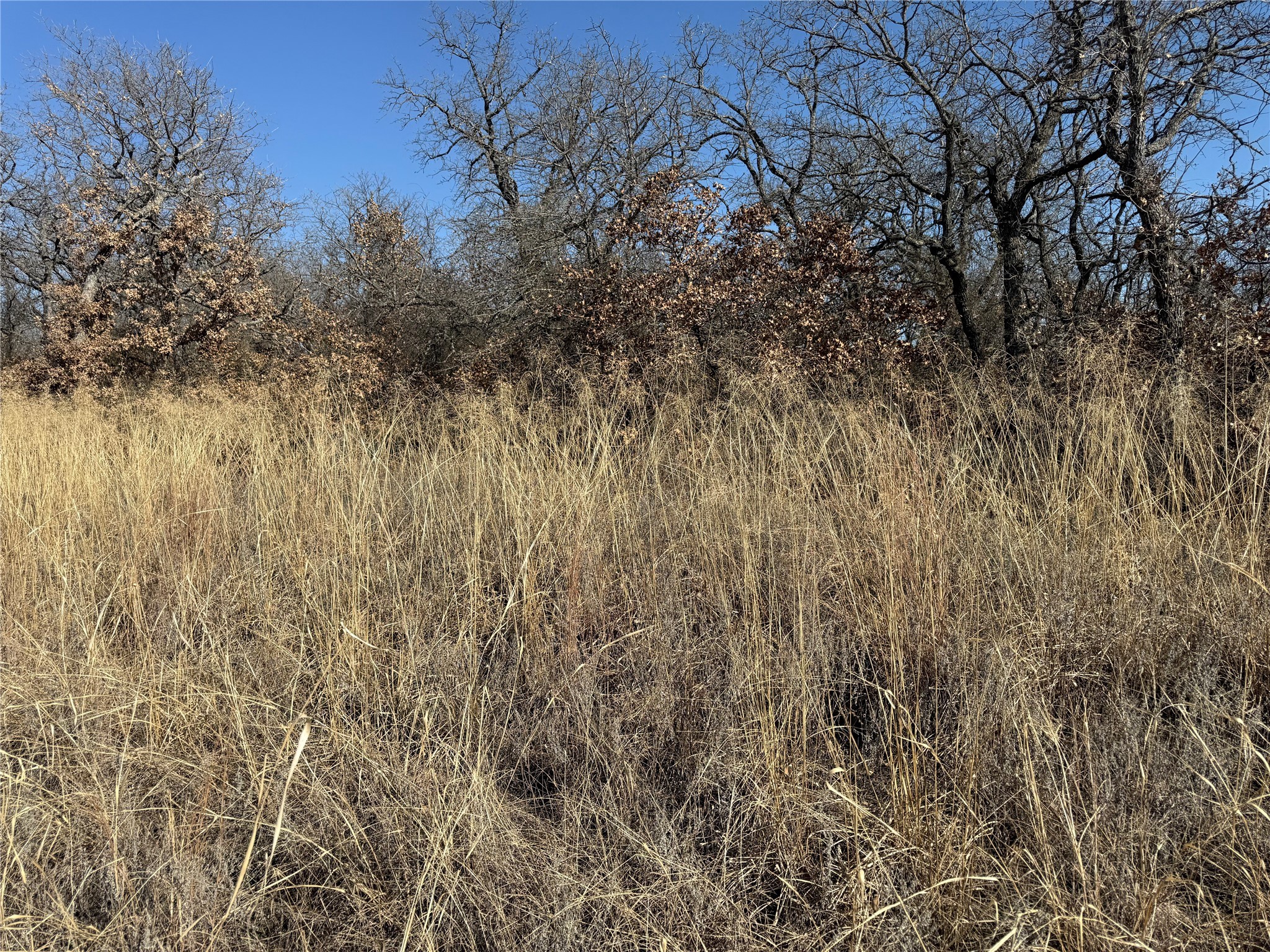 128 Rivercrest Drive Nocona TX 76255