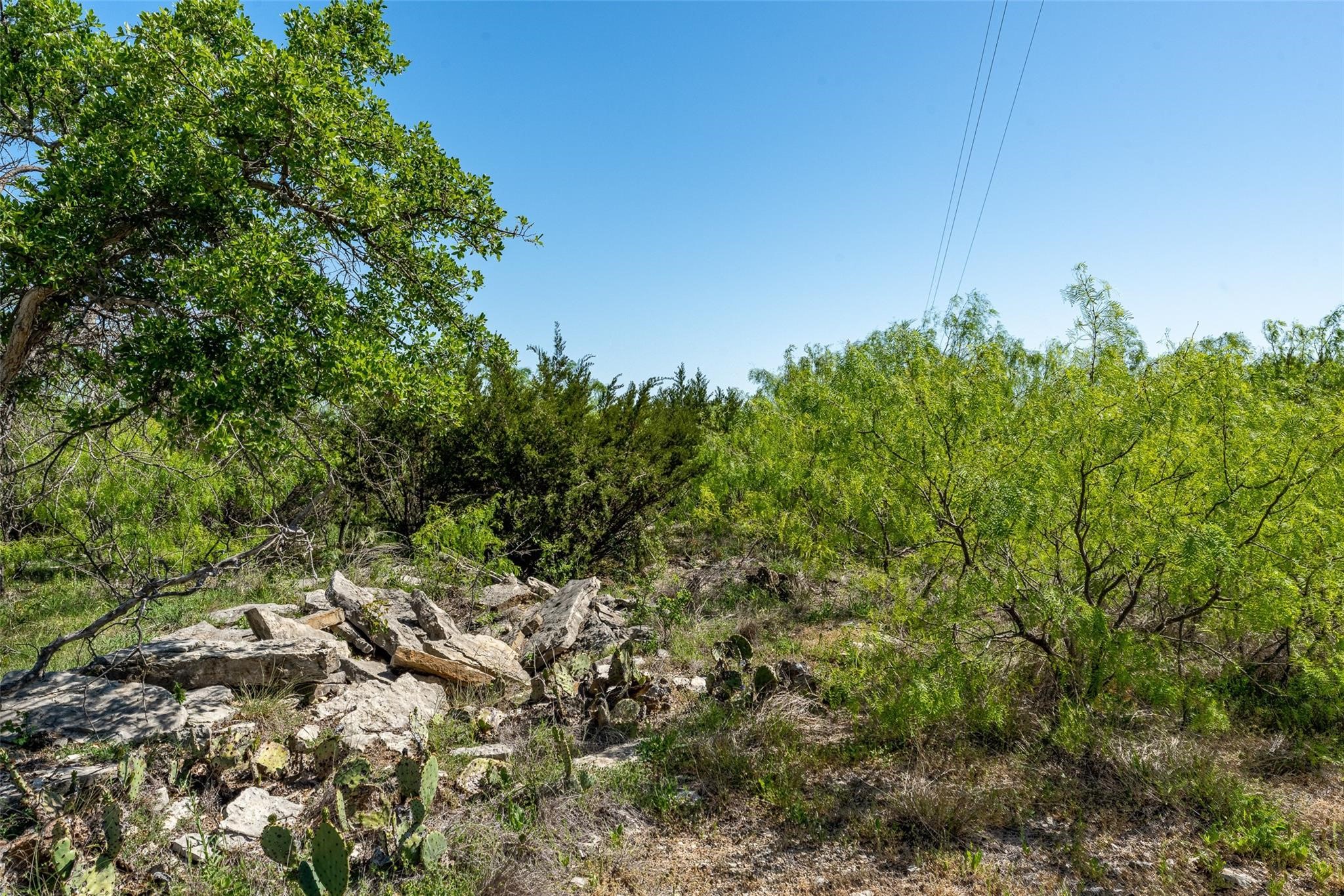 26820 Us Highway 377 N Bluff Dale TX 76433