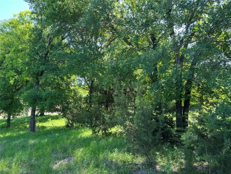 26820 Us Highway 377 N Bluff Dale TX 76433