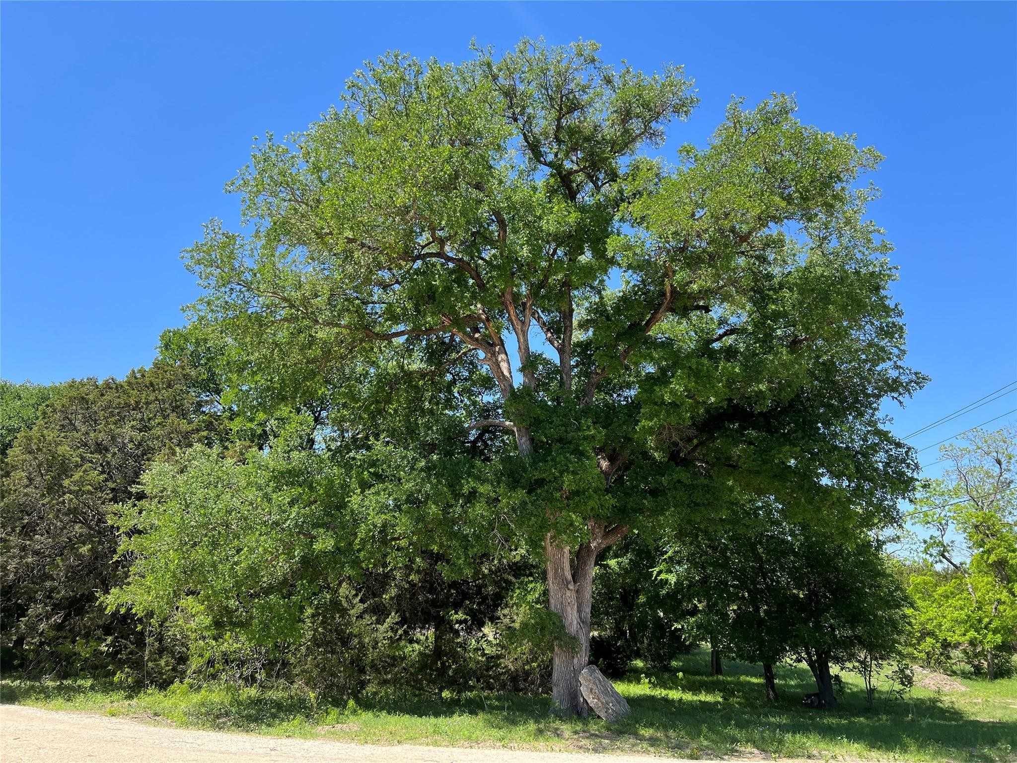 26820 Us Highway 377 N Bluff Dale TX 76433