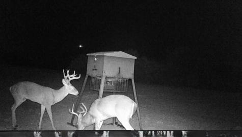 26820 Us Highway 377 N Bluff Dale TX 76433