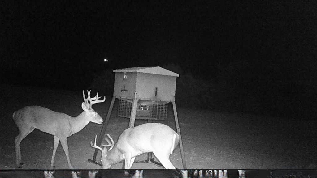 26820 Us Highway 377 N Bluff Dale TX 76433