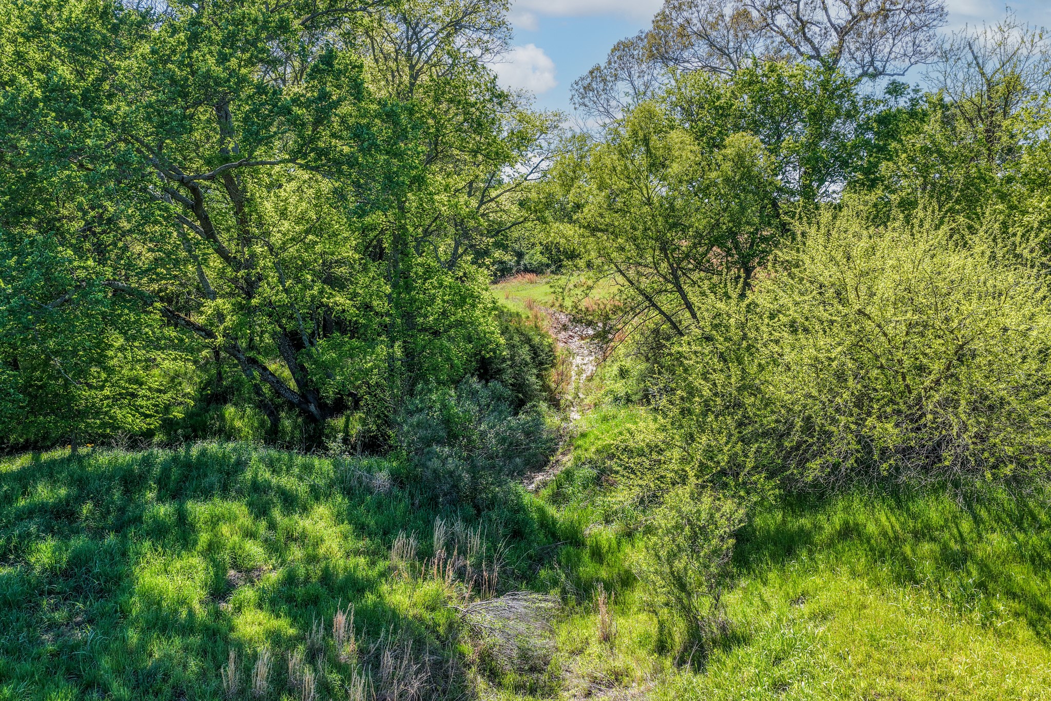 000 County Road 1445 Sulphur Springs TX 75482