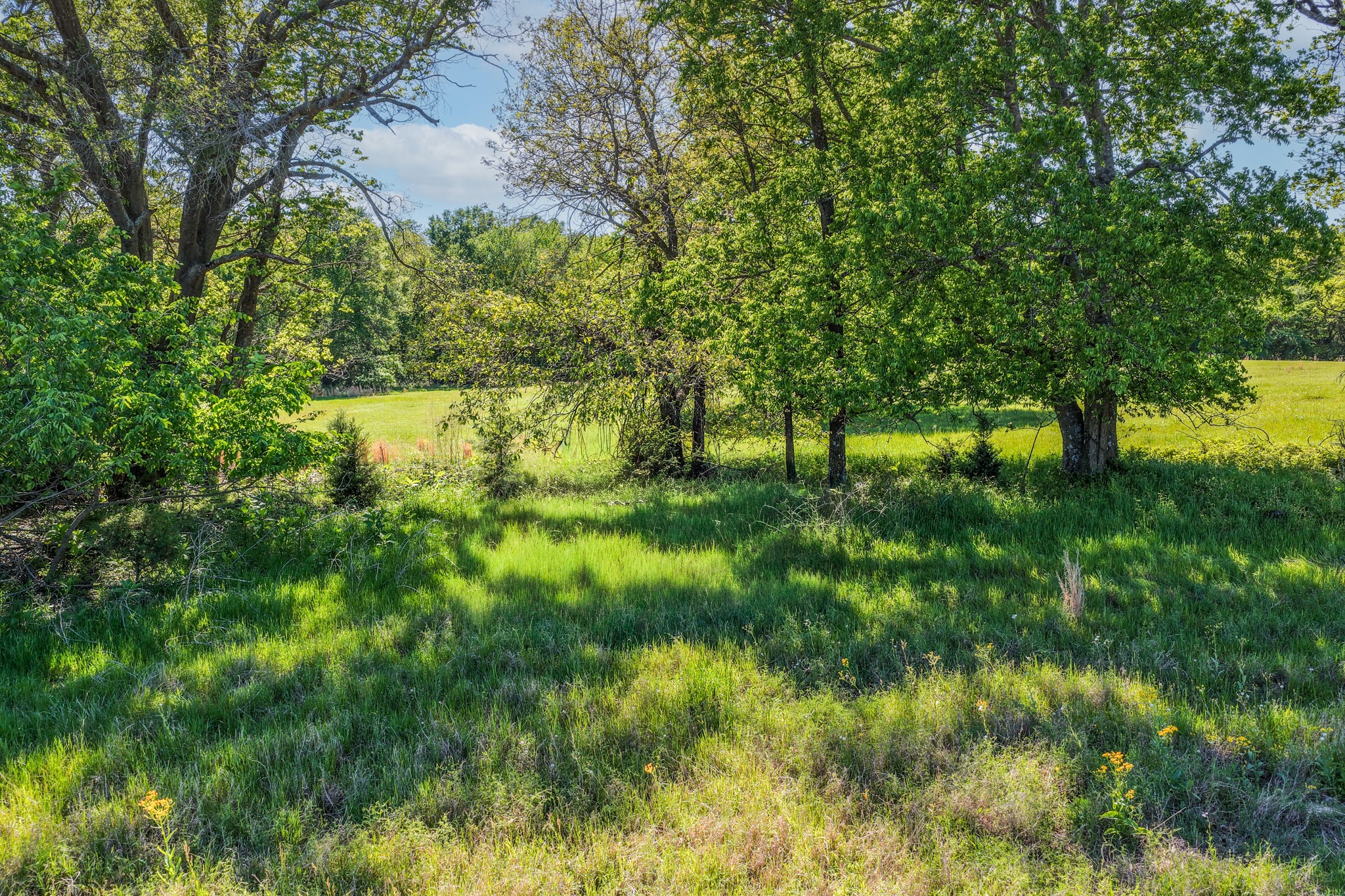000 County Road 1445 Sulphur Springs TX 75482