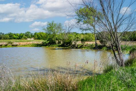 000 County Road 1445 Sulphur Springs TX 75482