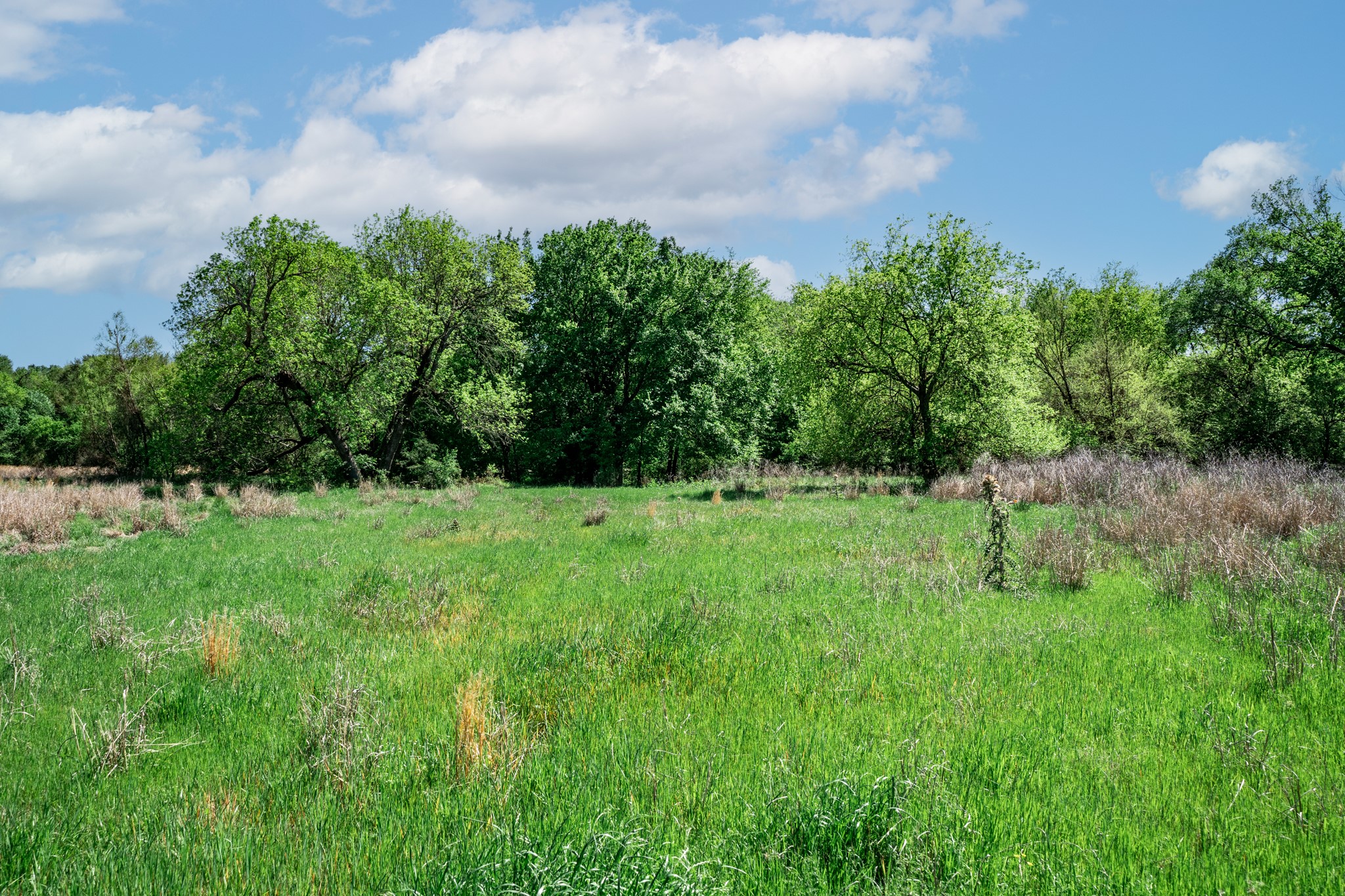 000 County Road 1445 Sulphur Springs TX 75482