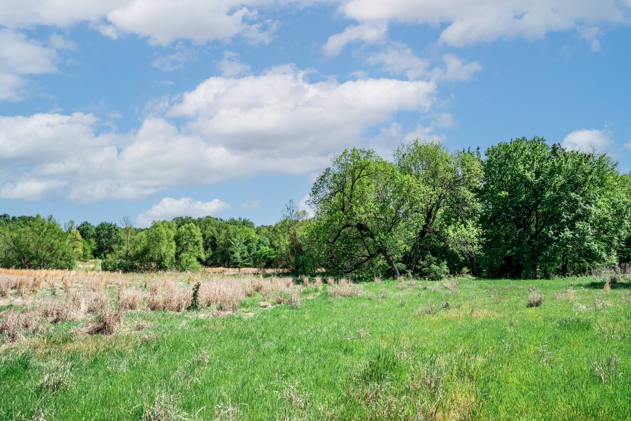 000 County Road 1445 Sulphur Springs TX 75482