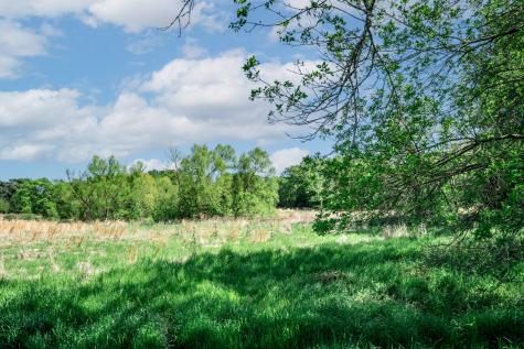 000 County Road 1445 Sulphur Springs TX 75482