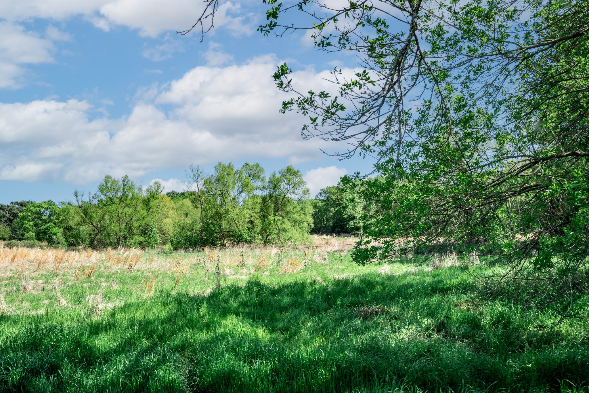 000 County Road 1445 Sulphur Springs TX 75482
