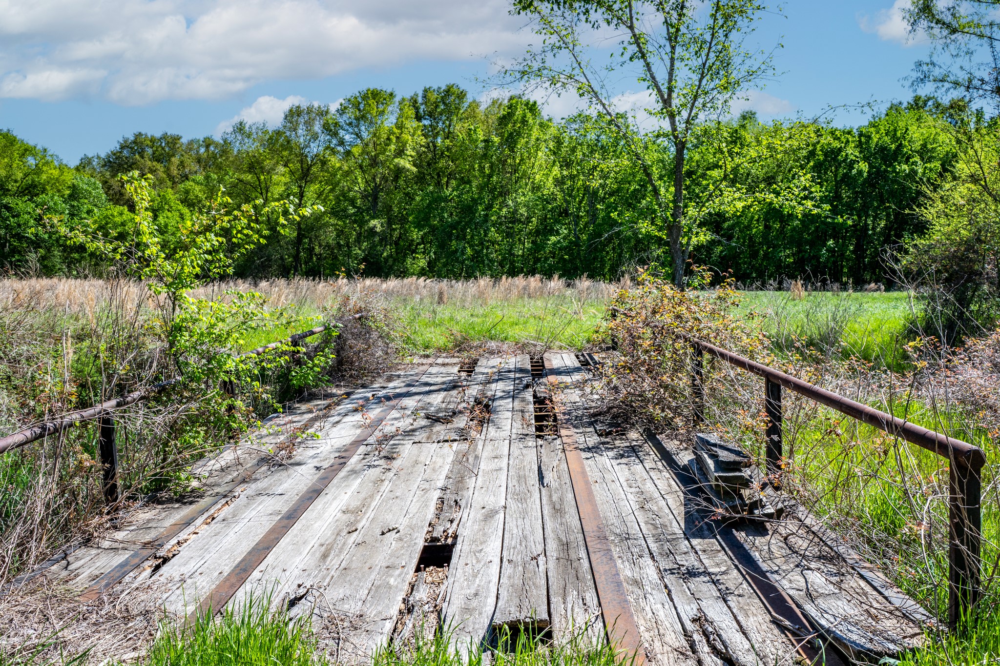 000 County Road 1445 Sulphur Springs TX 75482