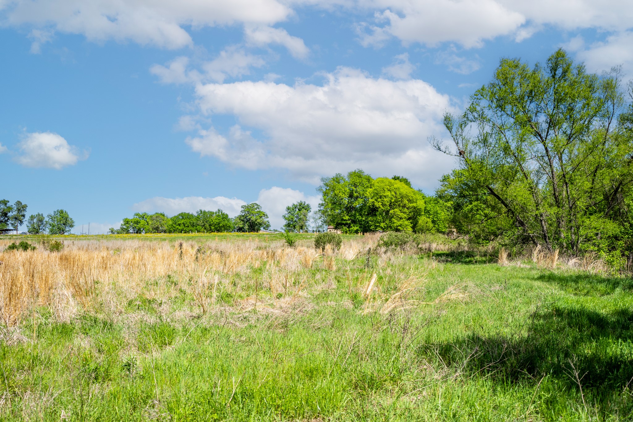 000 County Road 1445 Sulphur Springs TX 75482