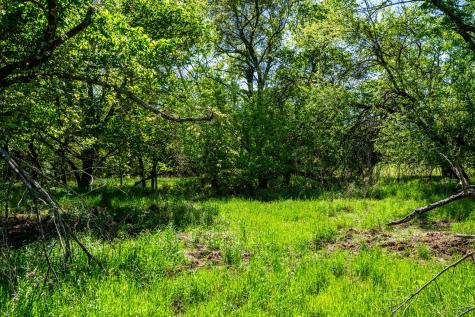 000 County Road 1445 Sulphur Springs TX 75482
