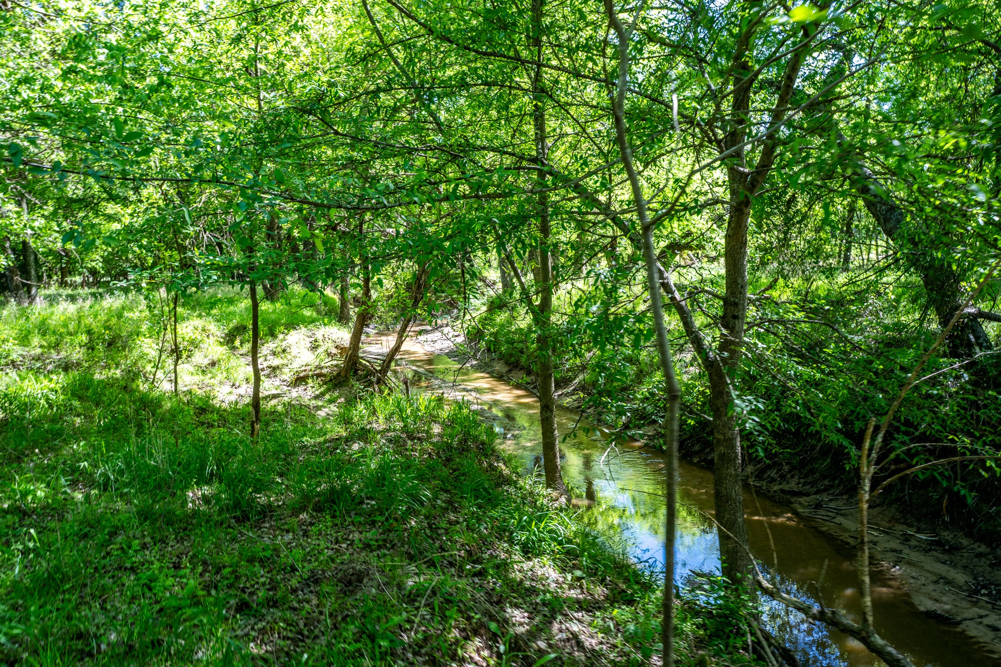 000 County Road 1445 Sulphur Springs TX 75482