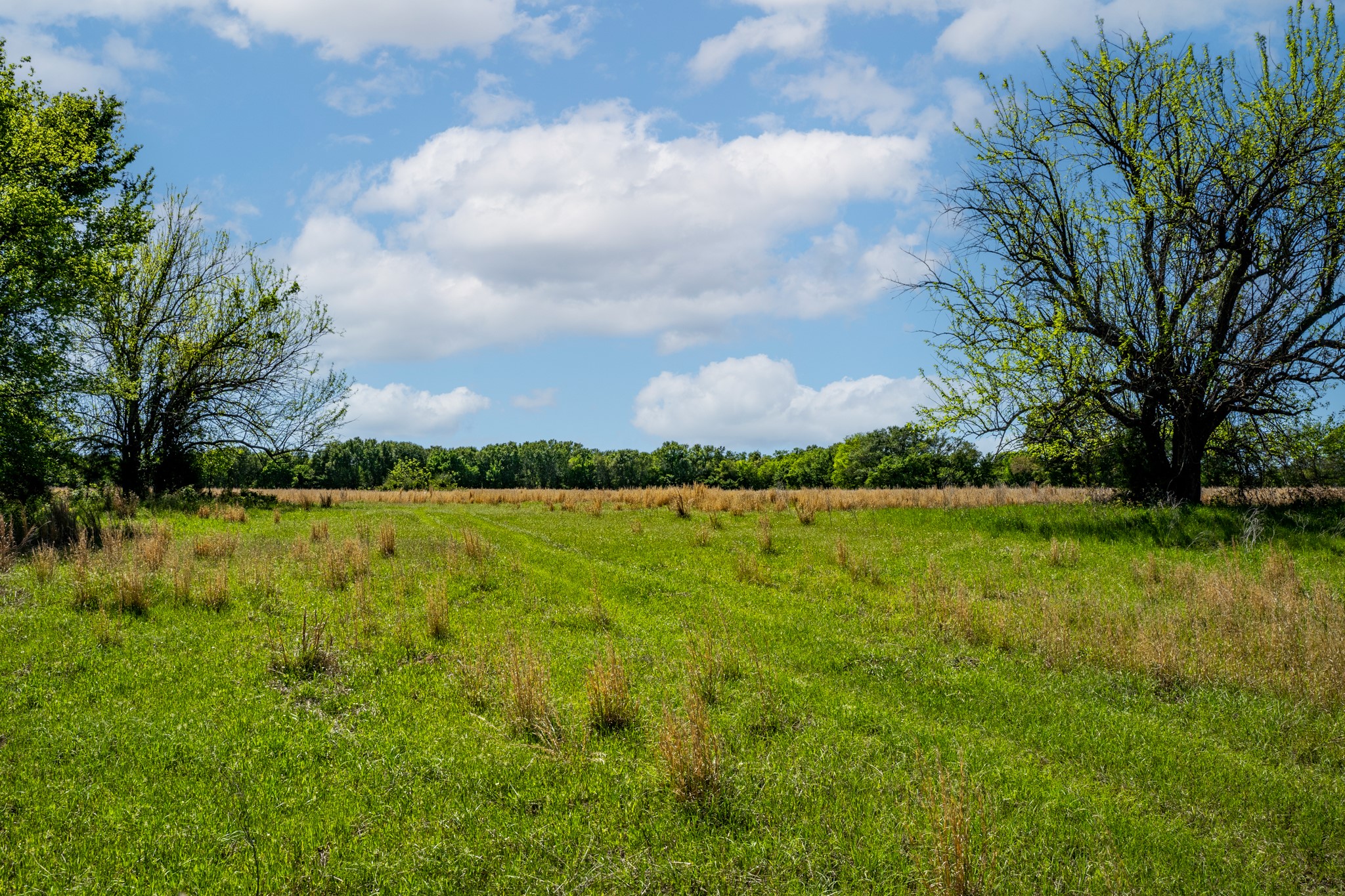 000 County Road 1445 Sulphur Springs TX 75482