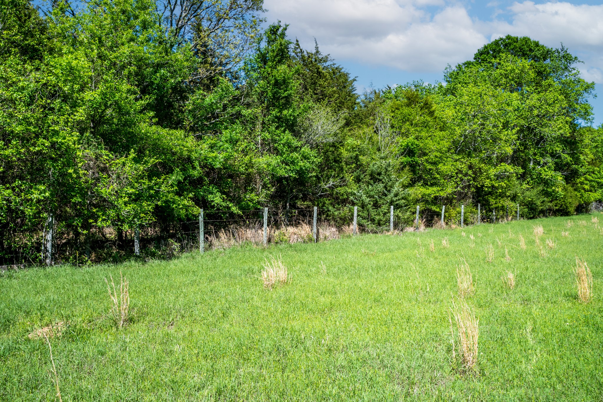000 County Road 1445 Sulphur Springs TX 75482