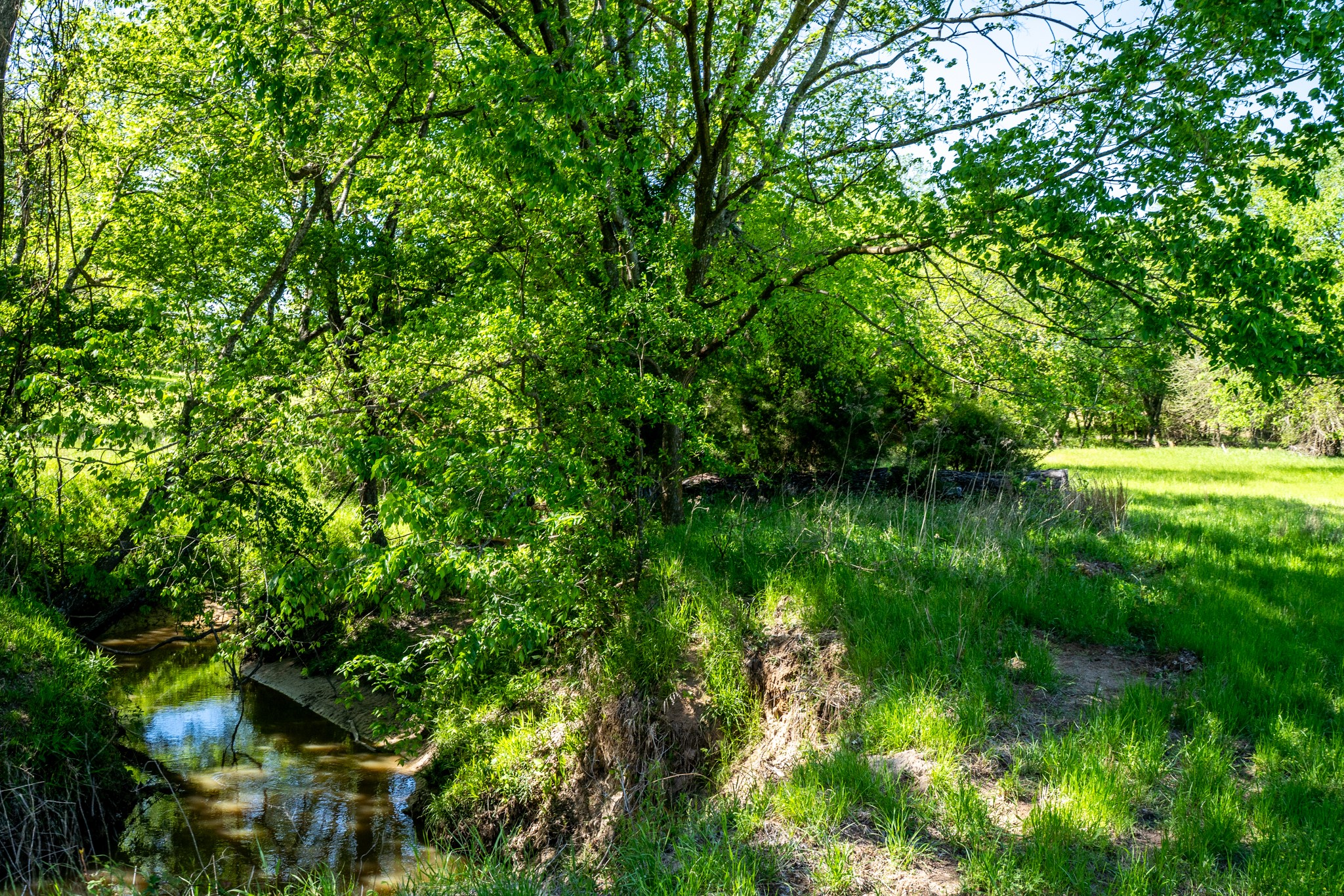 000 County Road 1445 Sulphur Springs TX 75482