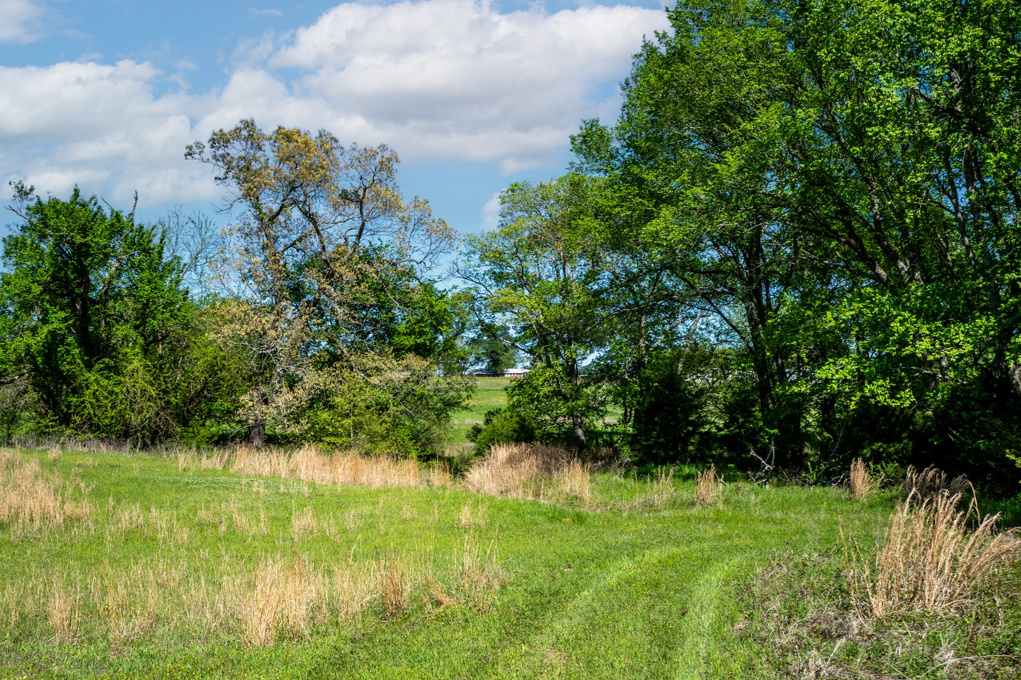 000 County Road 1445 Sulphur Springs TX 75482